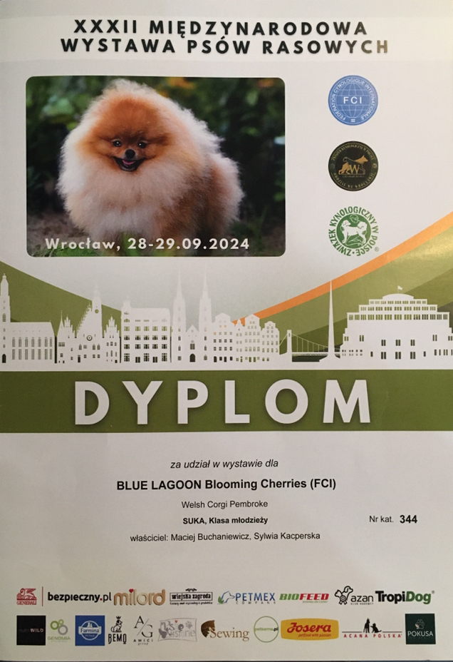 XXXII Międzynarodowa Wystawa Psów Rasowych,  Wrocław 28-29.09.2024 XXXII Międzynarodowa Wystawa Psów Rasowych,  Wrocław 28-29.09.2024